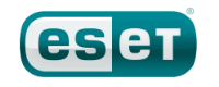 Accredited ESET Partner IT Antivirus Services