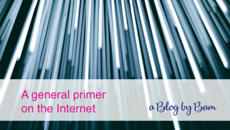 General Primer on the Internet Internet General Primer