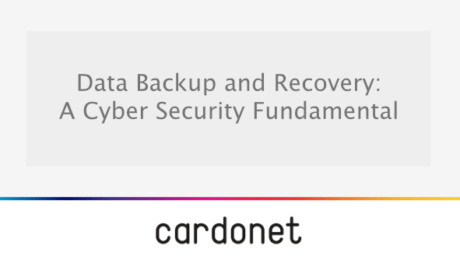 Discussing the importance of Data Backups and Recovery.